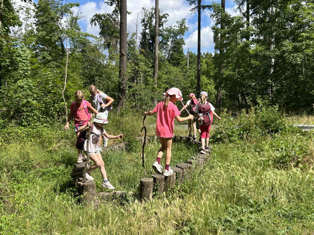 Kinderchor-Ausflug-Wiese-Wald